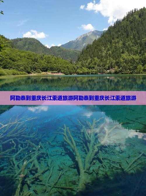 阿勒泰到重庆长江索道旅游
