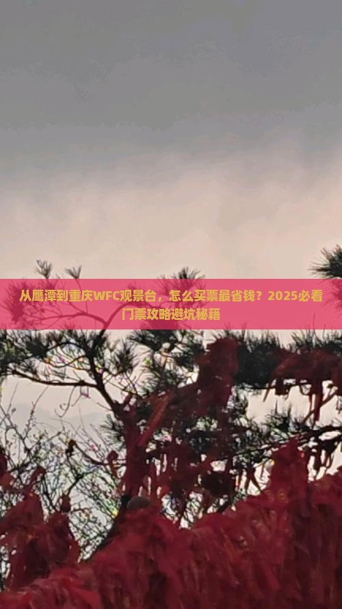 鹰潭到重庆wfc观景台门票