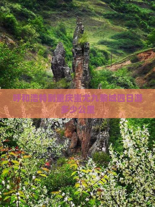 呼和浩特到重庆蚩尤九黎城四日游