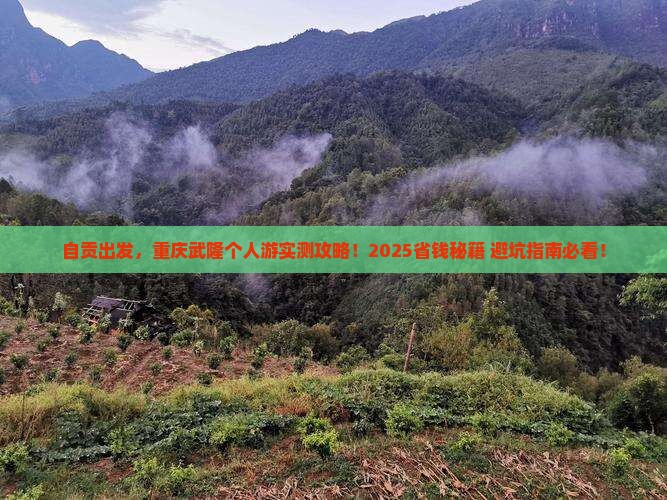 自贡去重庆武隆个人游