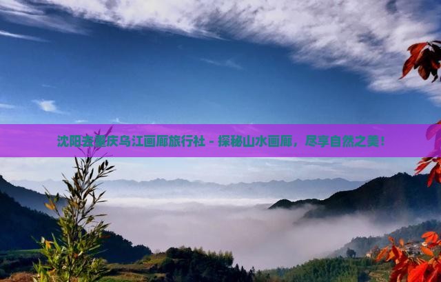 沈阳去重庆乌江画廊旅行社