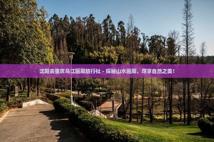 沈阳去重庆乌江画廊旅行社