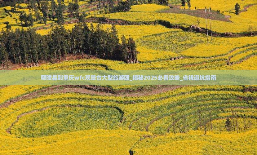 鄢陵县到重庆wfc观景台大型旅游团