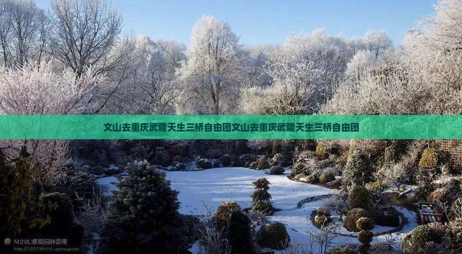 文山去重庆武隆天生三桥自由团