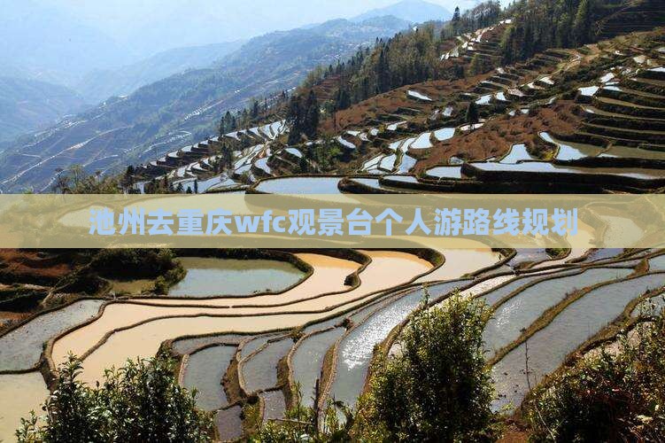 池州去重庆wfc观景台个人游