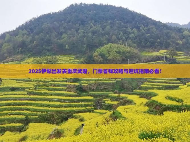 伊犁去重庆武隆门票