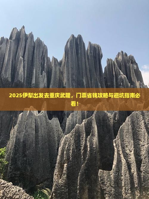 伊犁去重庆武隆门票