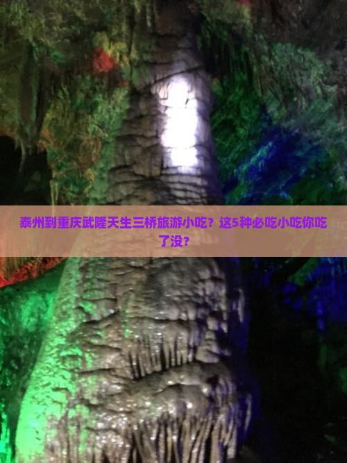 泰州到重庆武隆天生三桥旅游小吃