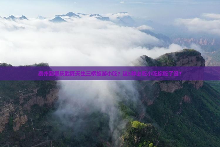 泰州到重庆武隆天生三桥旅游小吃