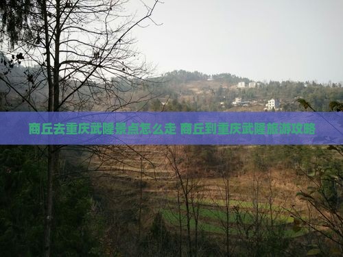 商丘去重庆武隆景点