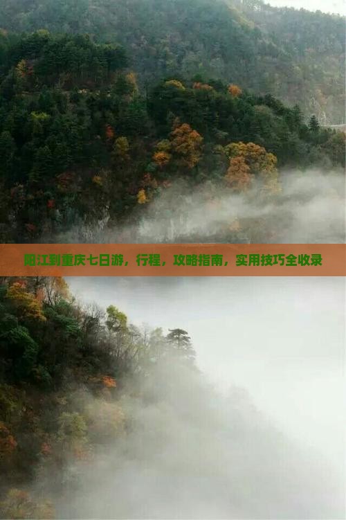 阳江到重庆七日游