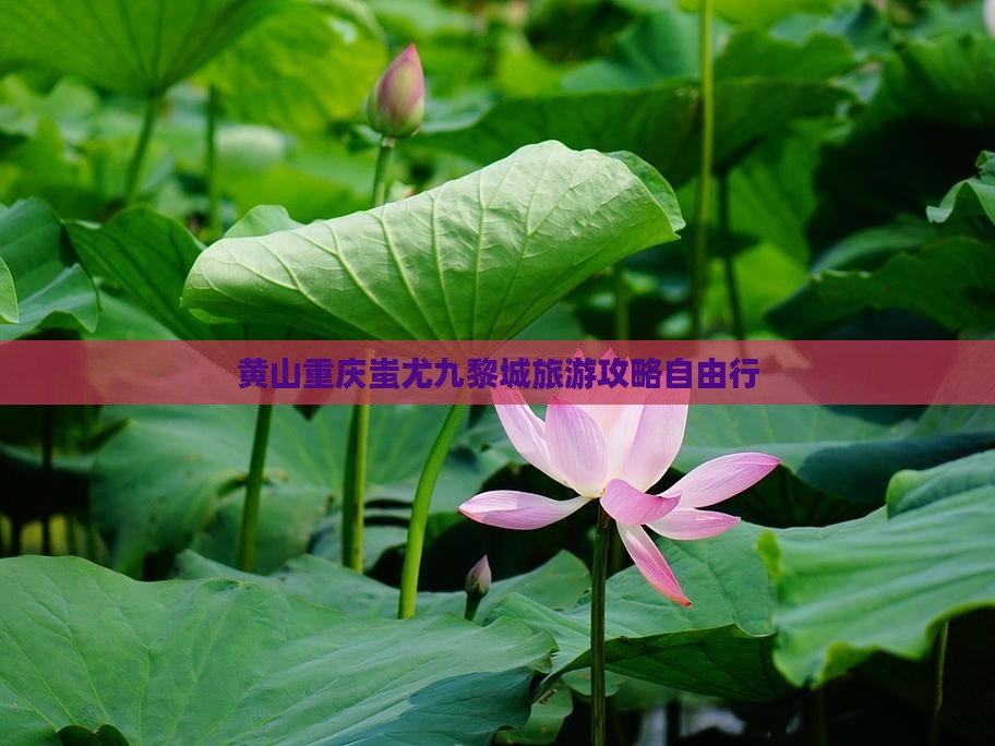 黄山去重庆蚩尤九黎城自由行