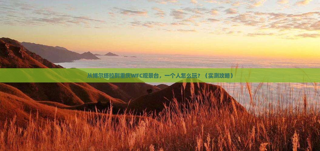 博尔塔拉去重庆wfc观景台个人游