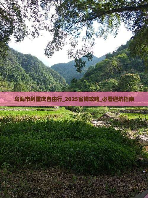 乌海市到重庆自由行