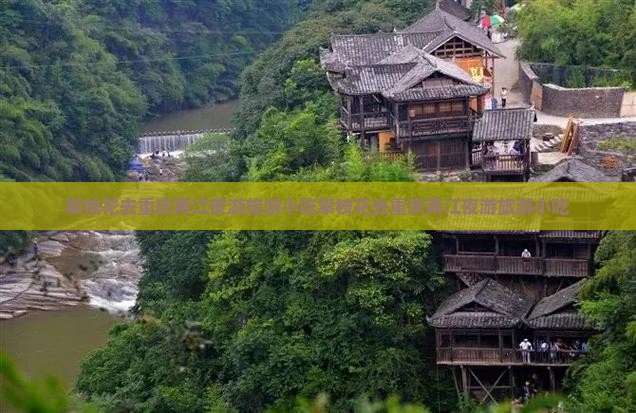攀枝花去重庆两江夜游旅游小吃