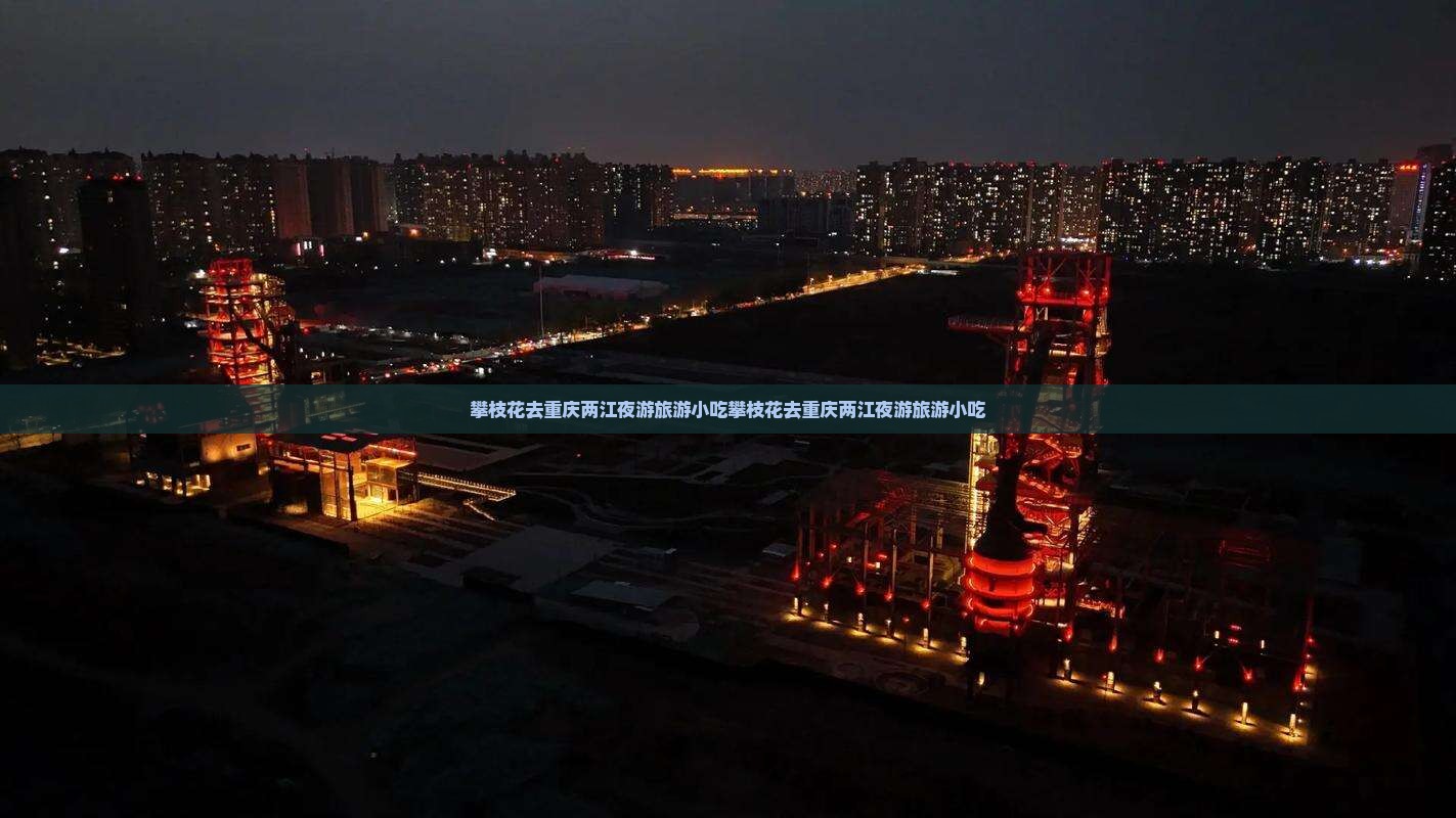 攀枝花去重庆两江夜游旅游小吃
