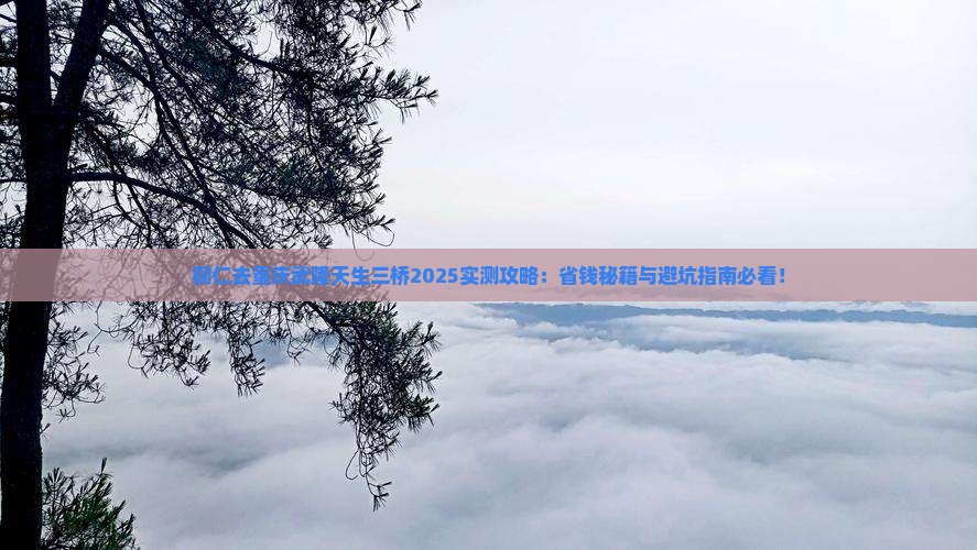 铜仁去重庆武隆天生三桥景点