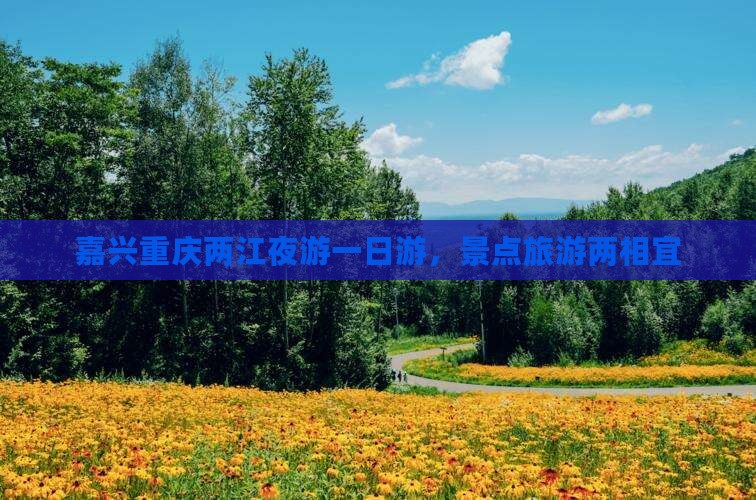嘉兴去重庆两江夜游一日