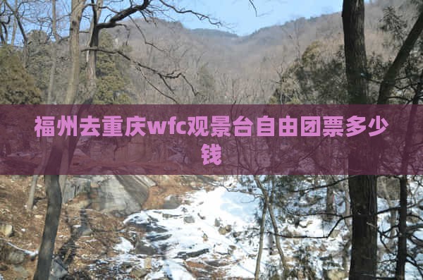 福州去重庆wfc观景台自由团