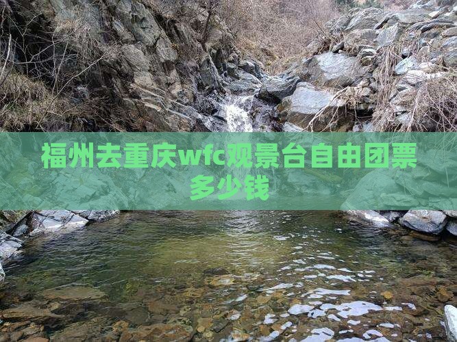 福州去重庆wfc观景台自由团