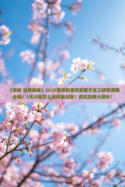 阳泉到重庆武隆天生三桥大型旅游团