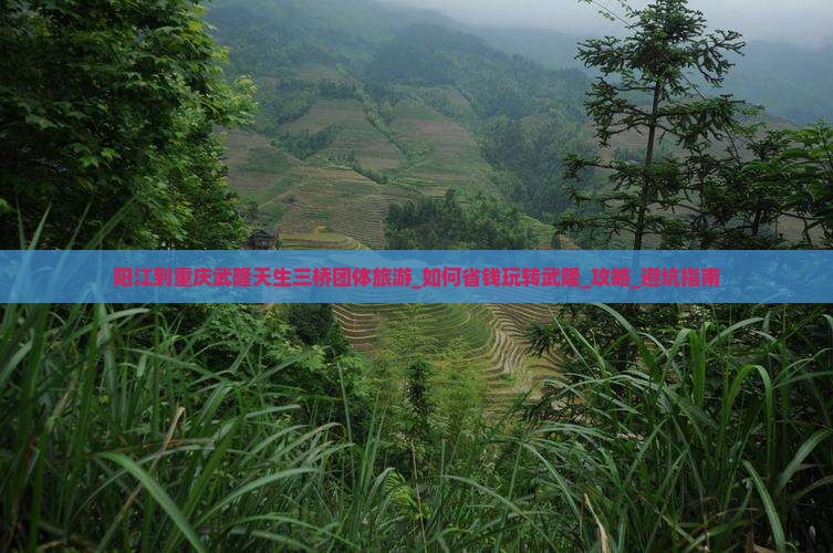 阳江到重庆武隆天生三桥团体旅游