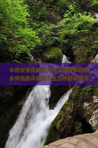 永新去重庆武隆天生三桥团体旅游