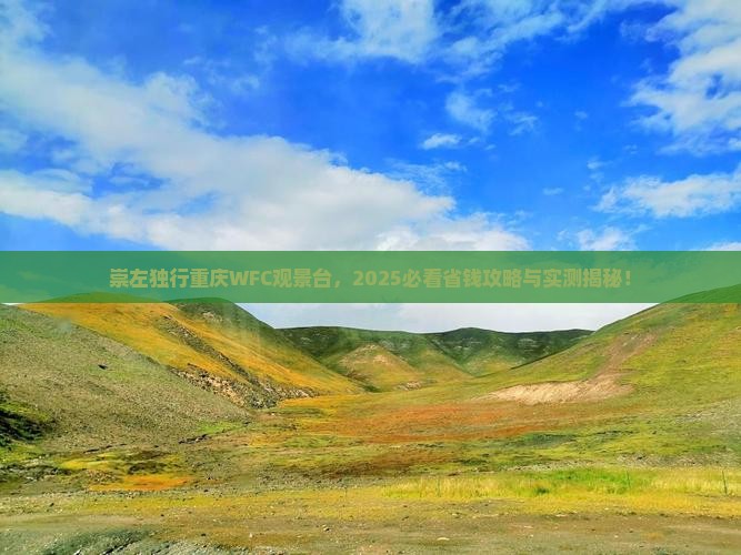 崇左去重庆wfc观景台个人游