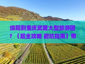 绵阳到重庆武隆大型旅游团