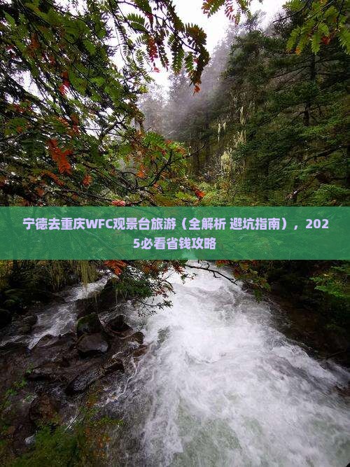 宁德去重庆wfc观景台旅游