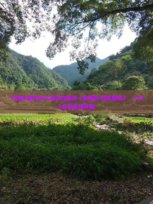 宁德去重庆wfc观景台旅游