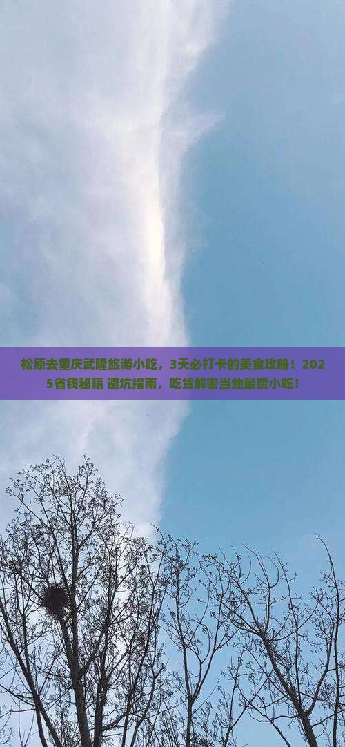 松原去重庆武隆旅游小吃