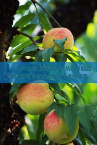 库尔勒到重庆渣滓洞攻略