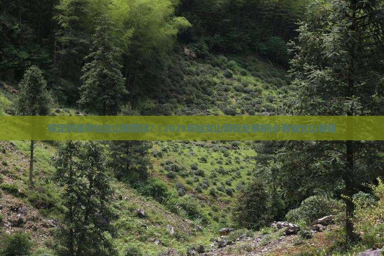 保定到重庆仙女山哪里玩