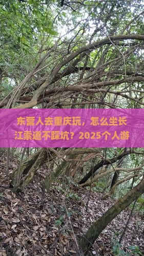 东营去重庆长江索道个人游