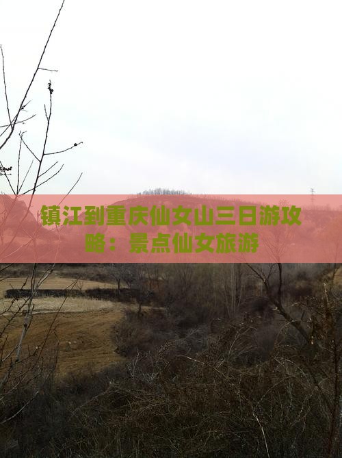 镇江到重庆仙女山三日游
