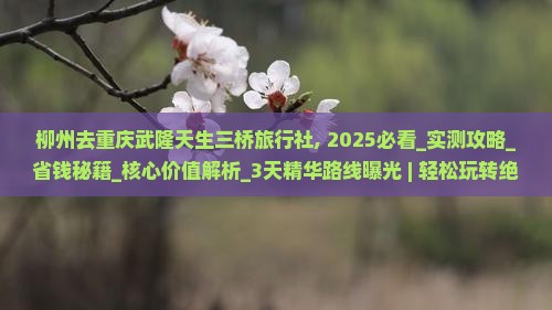 柳州去重庆武隆天生三桥旅行社