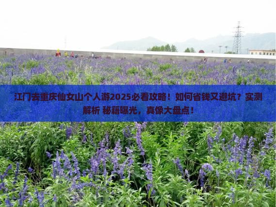 江门去重庆仙女山个人游