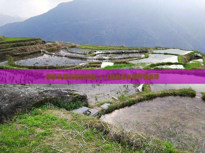 商洛去重庆旅游