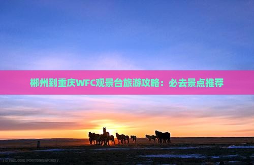 郴州去重庆wfc观景台大型旅游团