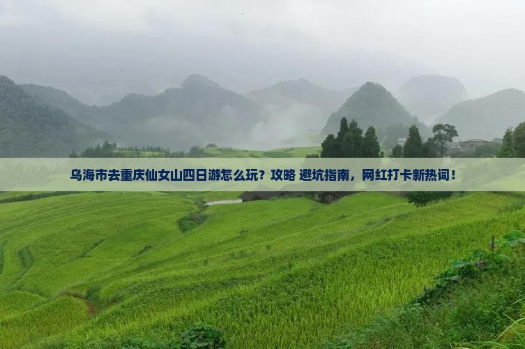 乌海市去重庆仙女山四日游
