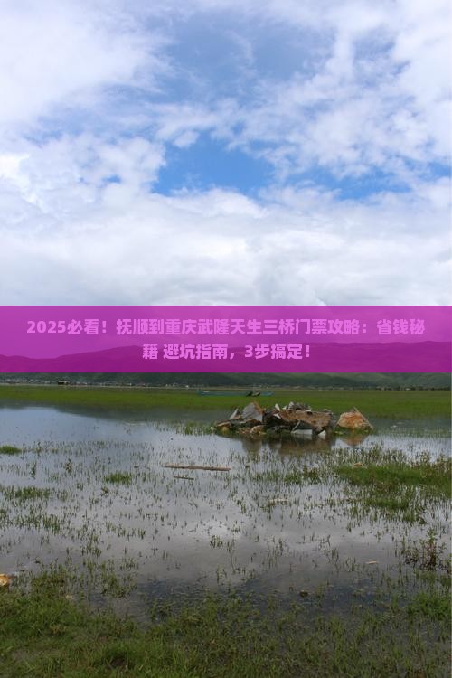 抚顺到重庆武隆天生三桥门票