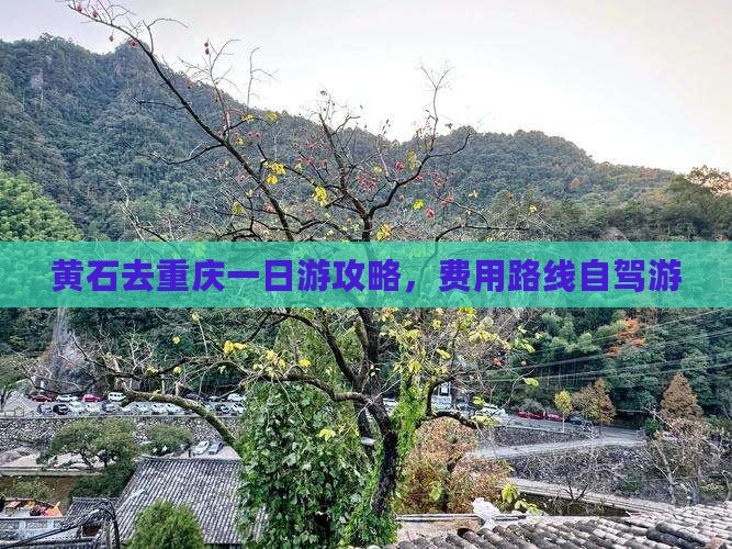 黄石去重庆一日