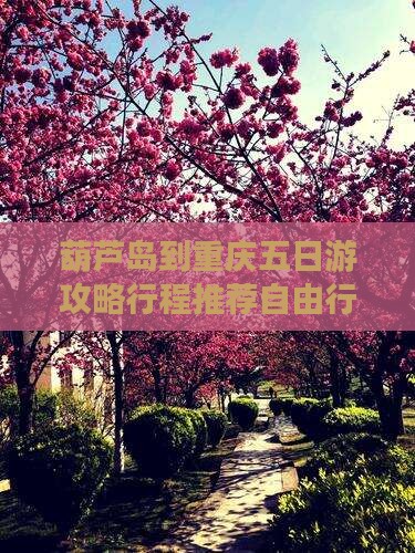 葫芦岛到重庆五日游 葫芦岛到重庆五日游