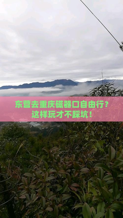 东营去重庆磁器口自由行