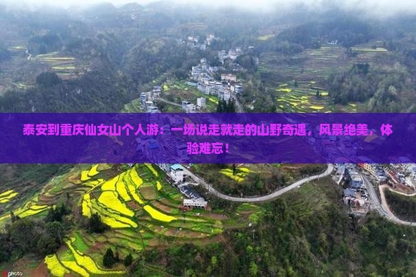 泰安到重庆仙女山个人游