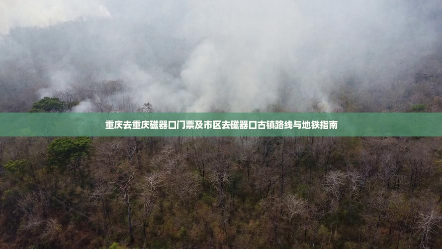 重庆去重庆磁器口门票