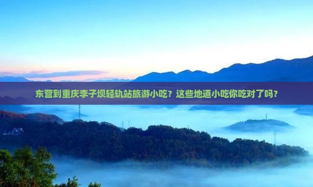 东营到重庆李子坝轻轨站旅游小吃
