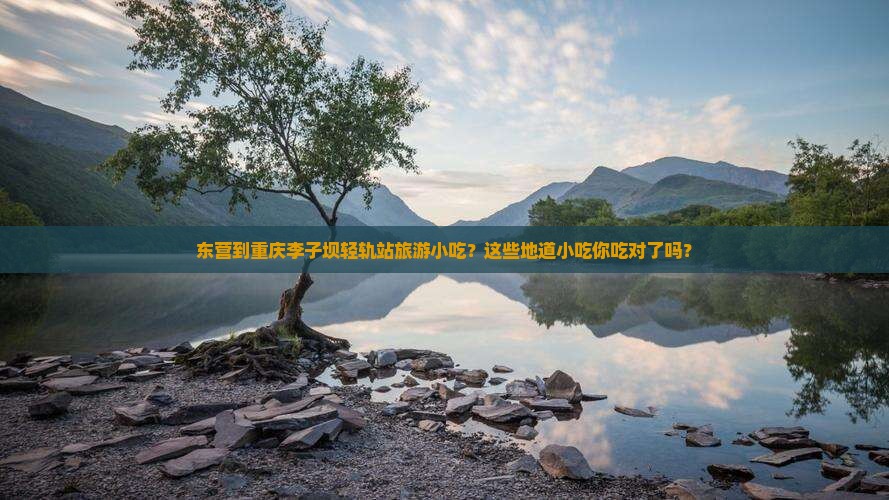 东营到重庆李子坝轻轨站旅游小吃