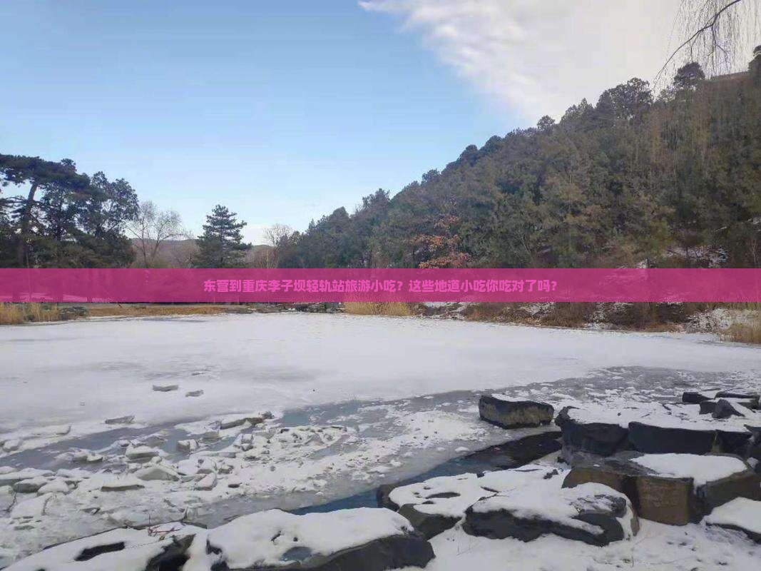 东营到重庆李子坝轻轨站旅游小吃